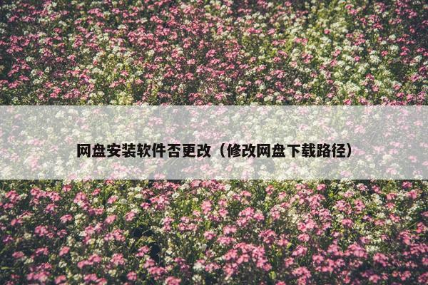 网盘安装软件否更改（修改网盘下载路径）