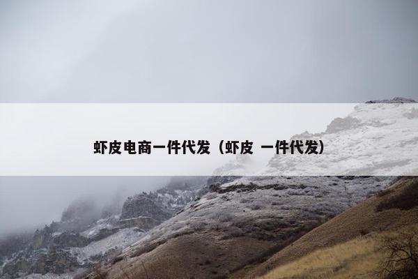 虾皮电商一件代发（虾皮 一件代发）
