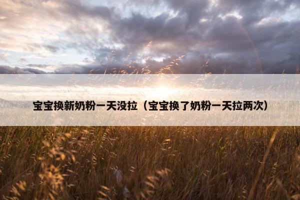 宝宝换新奶粉一天没拉（宝宝换了奶粉一天拉两次）