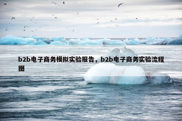 b2b电子商务模拟实验报告，b2b电子商务实验流程图