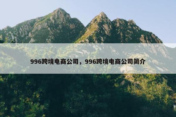 996跨境电商公司，996跨境电商公司简介