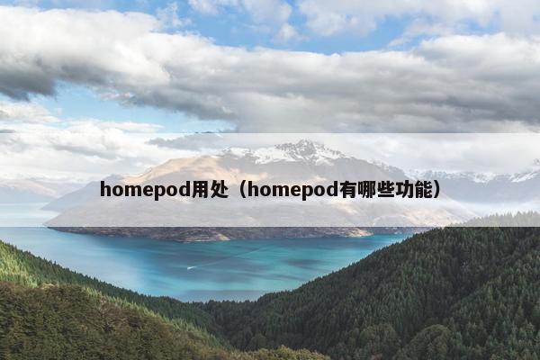 homepod用处（homepod有哪些功能）