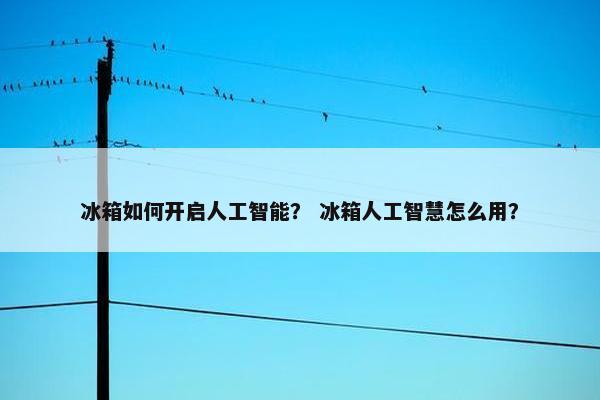 冰箱如何开启人工智能？ 冰箱人工智慧怎么用？