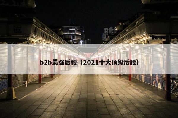 b2b最强后腰（2021十大顶级后腰）