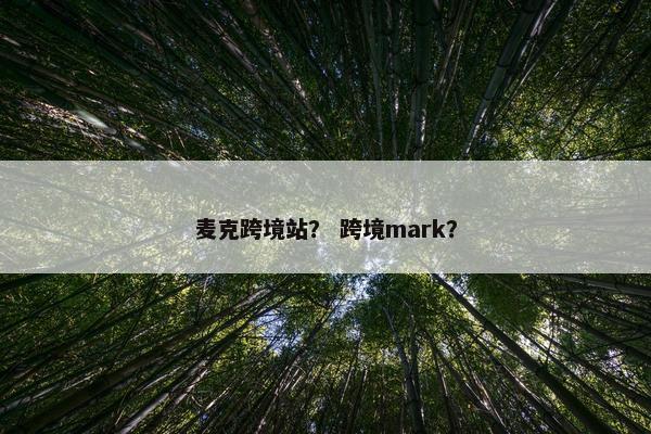 麦克跨境站？ 跨境mark？