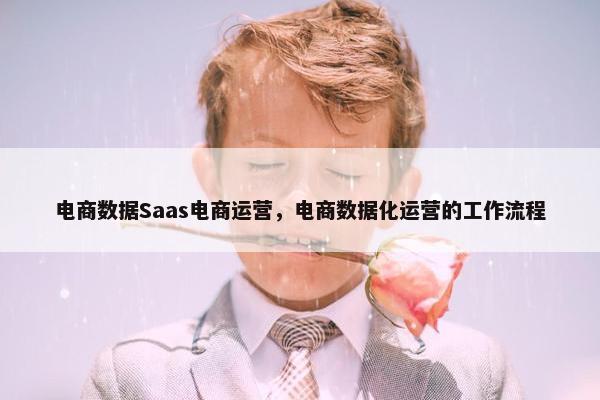 电商数据Saas电商运营，电商数据化运营的工作流程
