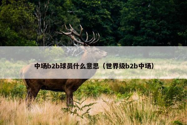中场b2b球员什么意思（世界级b2b中场）