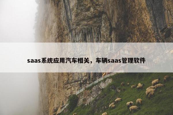 saas系统应用汽车相关，车辆saas管理软件