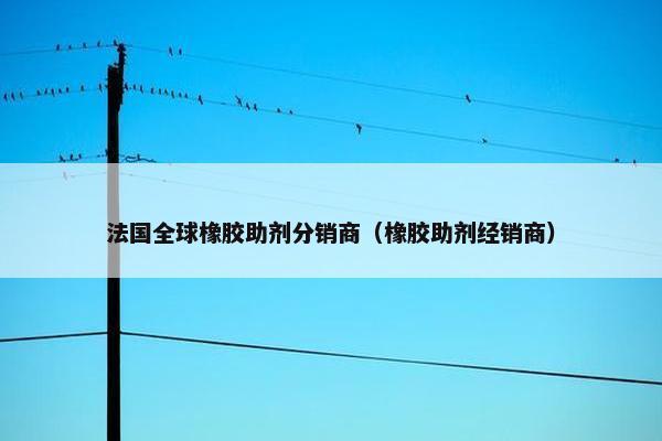 法国全球橡胶助剂分销商（橡胶助剂经销商）