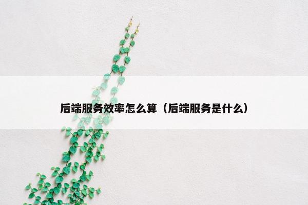 后端服务效率怎么算（后端服务是什么）