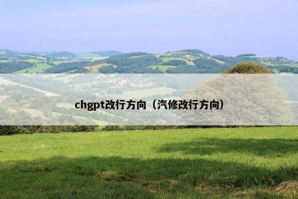 chgpt改行方向（汽修改行方向）