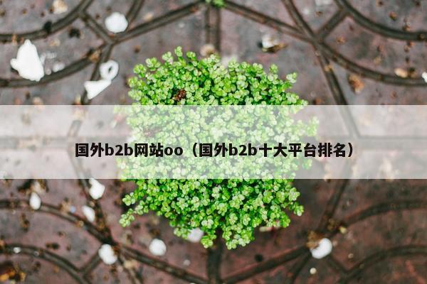 国外b2b网站oo（国外b2b十大平台排名）