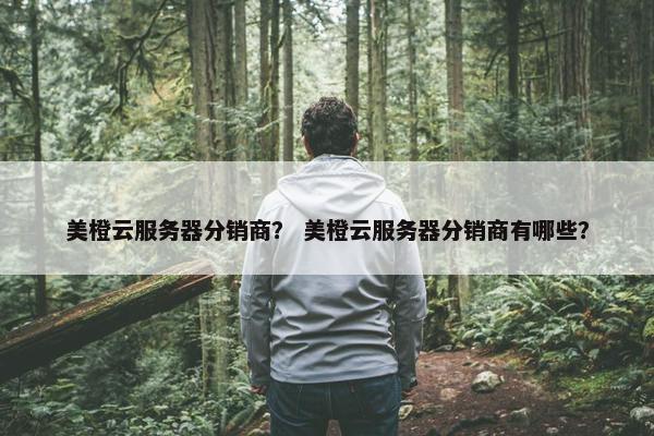 美橙云服务器分销商？ 美橙云服务器分销商有哪些？