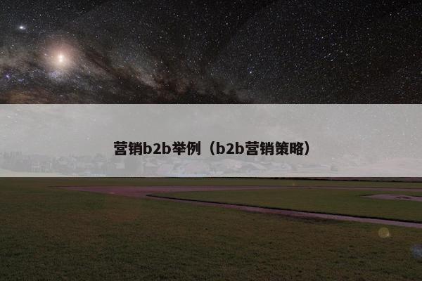 营销b2b举例（b2b营销策略）