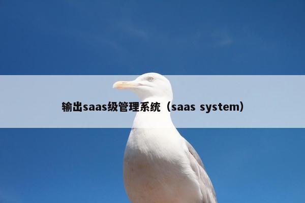 输出saas级管理系统（saas system）
