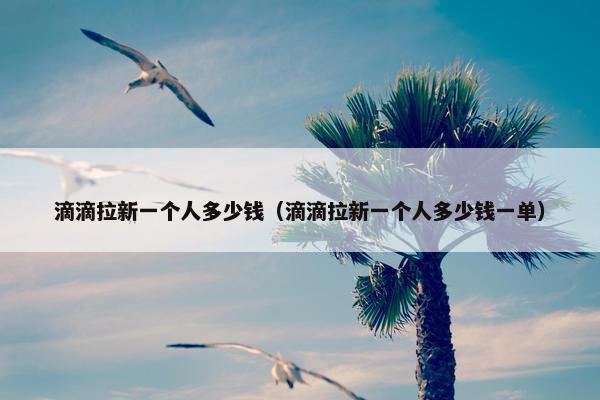 滴滴拉新一个人多少钱（滴滴拉新一个人多少钱一单）