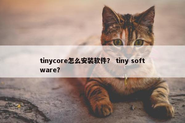 tinycore怎么安装软件？ tiny software？