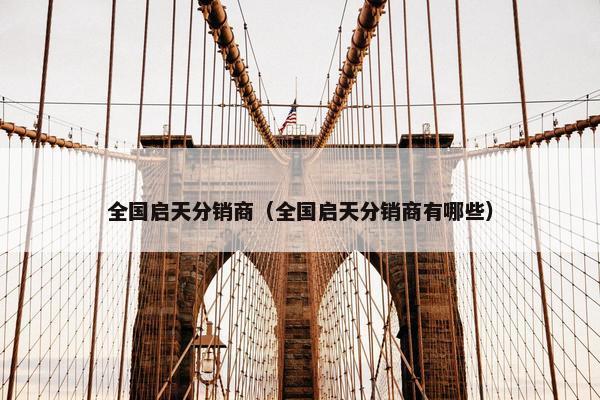 全国启天分销商（全国启天分销商有哪些）