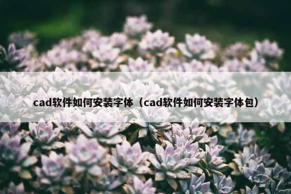 cad软件如何安装字体（cad软件如何安装字体包）