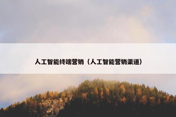 人工智能终端营销（人工智能营销渠道）