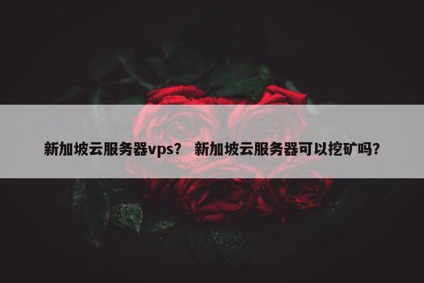 新加坡云服务器vps？ 新加坡云服务器可以挖矿吗？