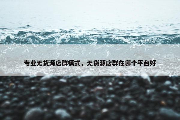 专业无货源店群模式，无货源店群在哪个平台好