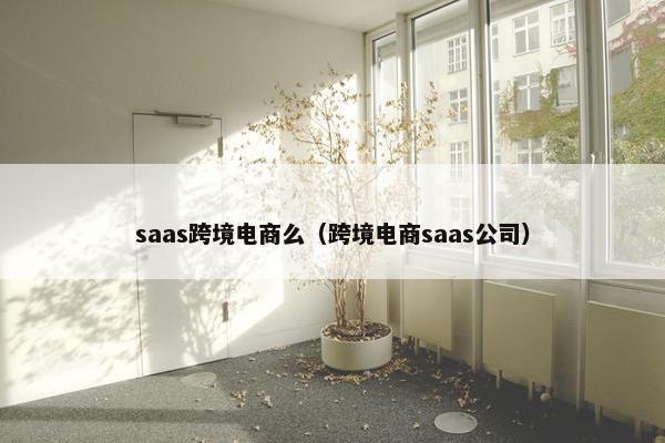 saas跨境电商么（跨境电商saas公司）