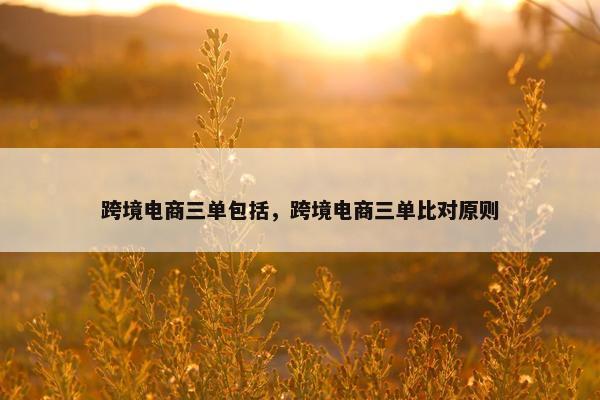跨境电商三单包括，跨境电商三单比对原则