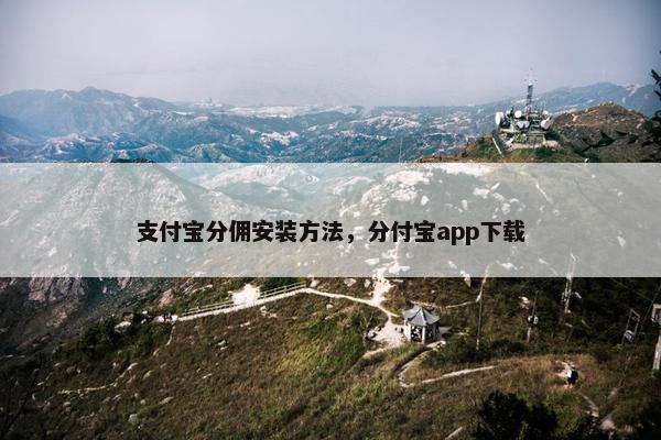 支付宝分佣安装方法，分付宝app下载