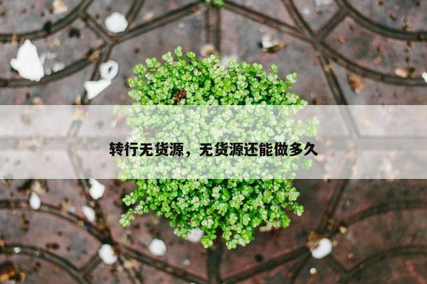 转行无货源，无货源还能做多久