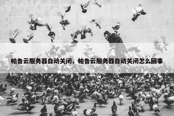 帕鲁云服务器自动关闭，帕鲁云服务器自动关闭怎么回事