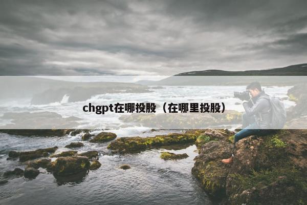 chgpt在哪投股（在哪里投股）