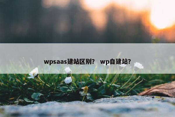 wpsaas建站区别？ wp自建站？