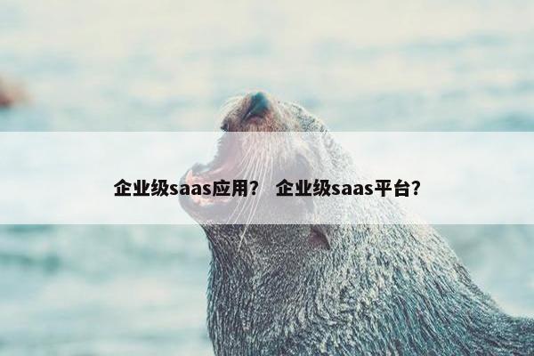企业级saas应用？ 企业级saas平台？