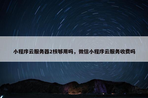 小程序云服务器2核够用吗，微信小程序云服务收费吗