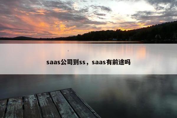 saas公司到ss，saas有前途吗