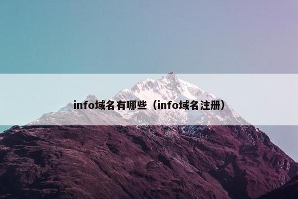 info域名有哪些（info域名注册）