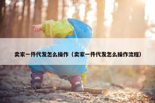 卖家一件代发怎么操作（卖家一件代发怎么操作流程）