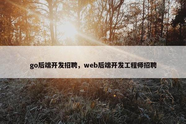 go后端开发招聘，web后端开发工程师招聘