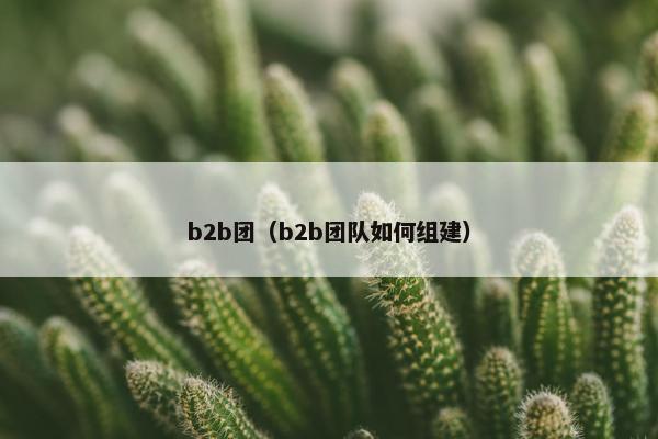 b2b团（b2b团队如何组建）