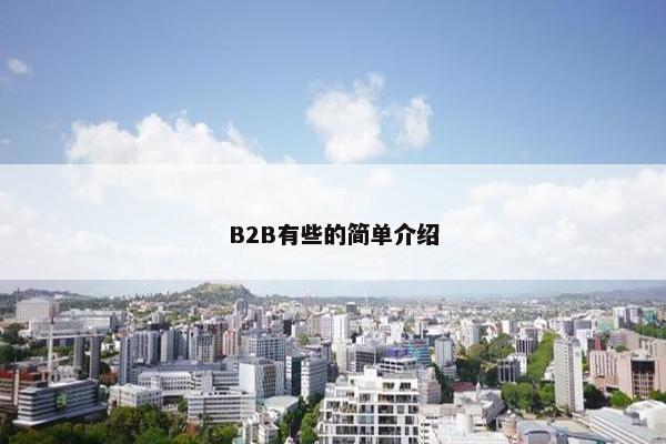 B2B有些的简单介绍
