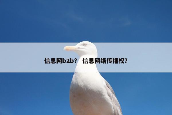 信息网b2b？ 信息网络传播权？
