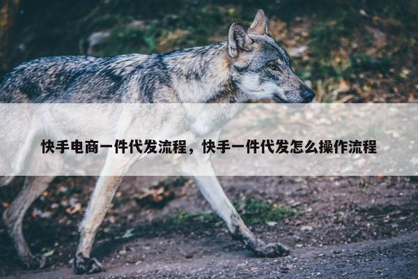 快手电商一件代发流程，快手一件代发怎么操作流程