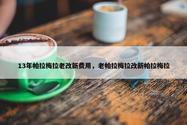 13年帕拉梅拉老改新费用,老帕拉梅拉改新帕拉梅拉