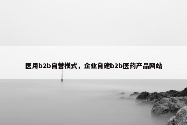 医用b2b自营模式，企业自建b2b医药产品网站