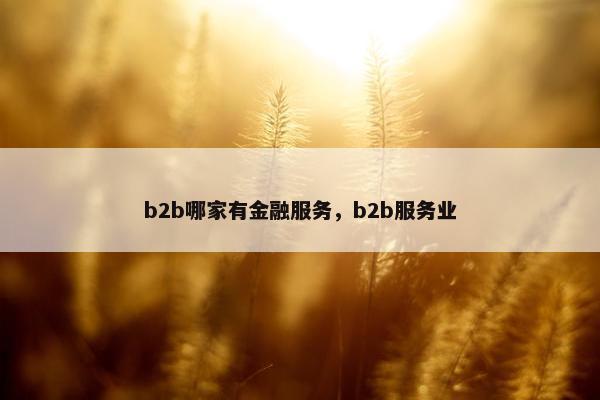 b2b哪家有金融服务，b2b服务业