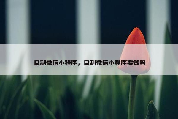 自制微信小程序，自制微信小程序要钱吗