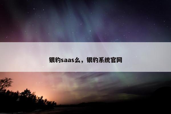 银豹saas么，银豹系统官网