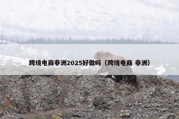 跨境电商非洲2025好做吗（跨境电商 非洲）
