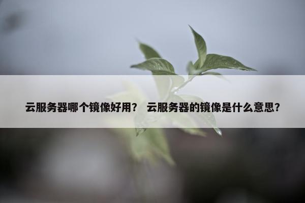 云服务器哪个镜像好用？ 云服务器的镜像是什么意思？